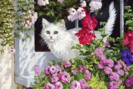 vxyfx tdtr dtr ddgd rtcvcvcxv