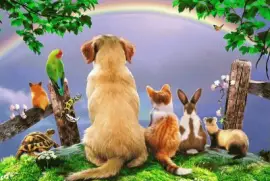 07bv -Ã¤9bn x  gt3v