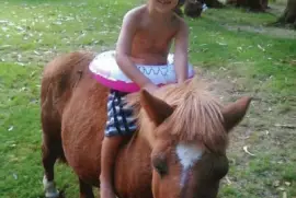 JOAQUIN jigsaw puzzle