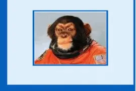 ×§×•×£ jigsaw puzzle