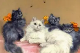 .n.n.n.n.lnjknjk jigsaw puzzle