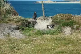 Las Malvinas son ARGENTINAS