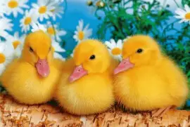 ut gv46drt vhjg5f hjzt