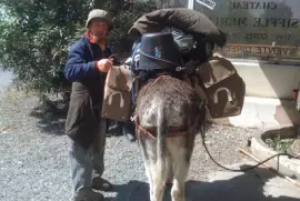 avec l 'Ã¢ne Valentin