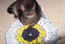 Jewell and her flower