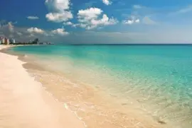 פאזל של fig tree bay