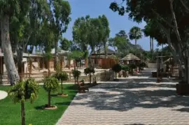 פאזל של limassol zoo