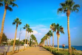 פאזל של promenade limassol