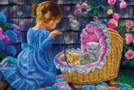 saafddg   -.-.llopkok