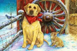 oÃ¤oÃ¤oÃ¤oÃ¼oÃ¼ol.-.Ã¶l,l,klko