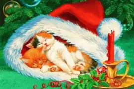 fpffpf897pfofd67ofof6i,