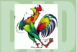 ×ª×¨× ×’×•×œ