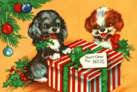 cuc67c6c56c5x4x33x4c5vv67