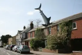 headington shark