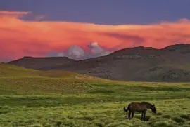 En el sur mendocino. Argentina