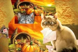 b454bv53v53nv59c89xvczx