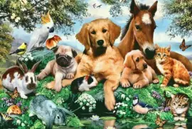 Ã¤900,.Ã¼,0oÃŸ.0,oÃŸ0.om0,