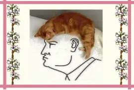 ×—×ª×•×œ×