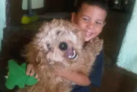 el doki dei dei y waltiko