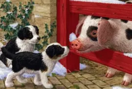 Ã¤Ã¶kedrdztg ghtvzr43st