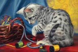 ls67si5ik56si5765sl5sk65k785k