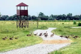 ferto hansag national park