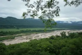 PN Calilegua. Jujuy. Argentina jigsaw puzzle