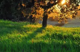 Bela paisagem jigsaw puzzle