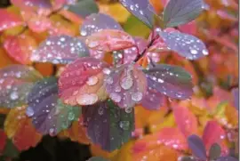 Bela paisagem jigsaw puzzle