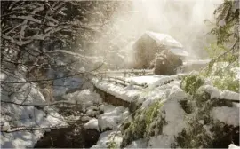 winter-116 jigsaw puzzle