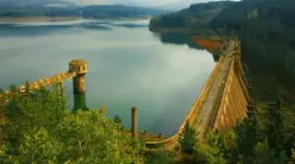 naturaleza jigsaw puzzle