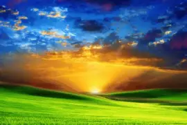 naturaleza jigsaw puzzle