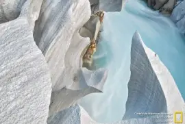 פאזל של imagens