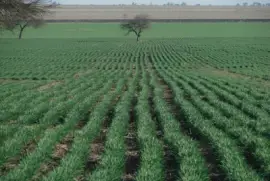 פאזל של Cerca de San AgustÃ­n. TucumÃ¡n. Argentina