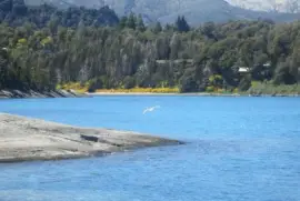 פאזל של Lago Nahuel Huapi. NeuquÃ©n. Argentina