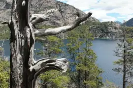 פאזל של BahÃ­a LÃ³pez. Provincia de RÃ­o Negro. Argentina