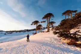 פאזל של imagens