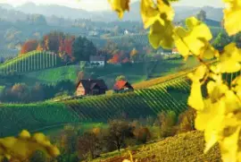 פאזל של imagens