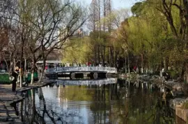 פאזל של luxun park