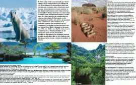 פאזל של tania25