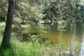 פאזל של estanque