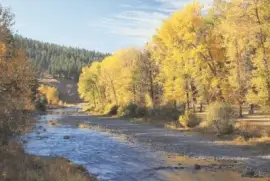 פאזל של NATUREZA