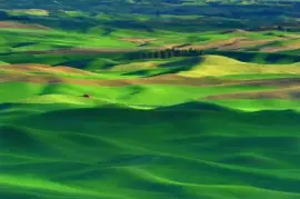 פאזל של imagens