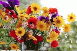 פאזל של imagens