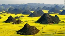 פאזל של imagens