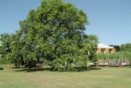 En Colonia Santa Rosa. Salta. Argentina