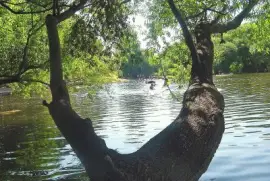 En Tornquist. Buenos Aires. Argentina