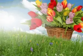 bv rd6 7r 7i8o  u6t uzfz uz