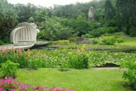 botanical garden