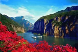 פאזל של qutang